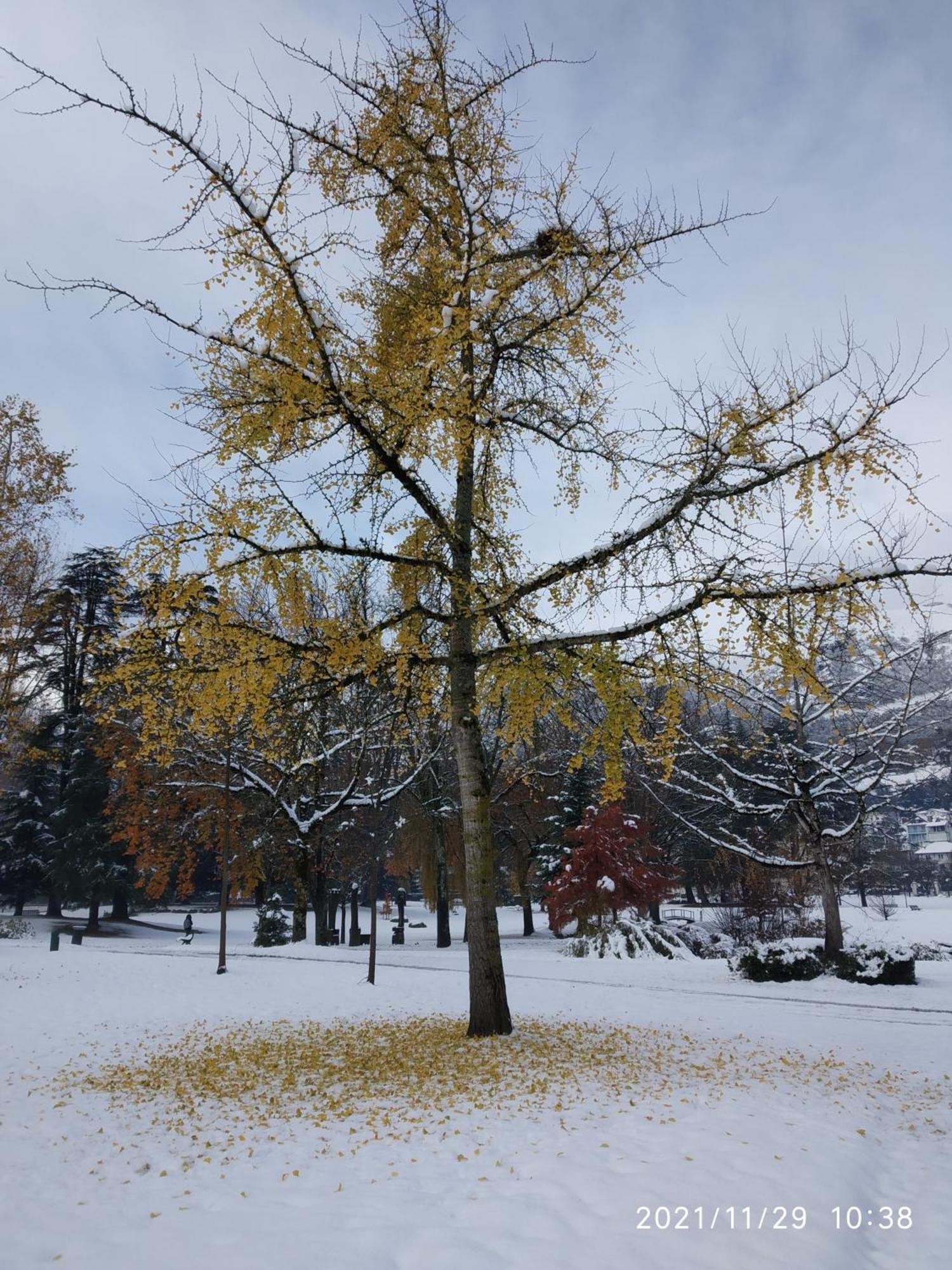 Le Balcon Du Parc, Entre Lourdes Et Gavarnie Argelès-Gazost Exteriör bild